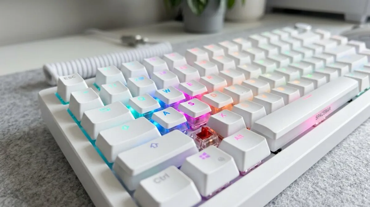 Geekmaxi DE: 2 kaufen & 6% sparen